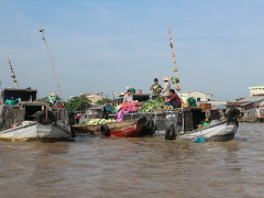 Nguồn Gốc Cây Bẹo